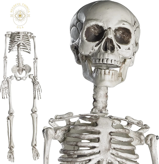 Prextex 30 Inch Halloween Giant Skeleton - Full Body Halloween Skeleton with Movable Joints for Best Halloween Decoration